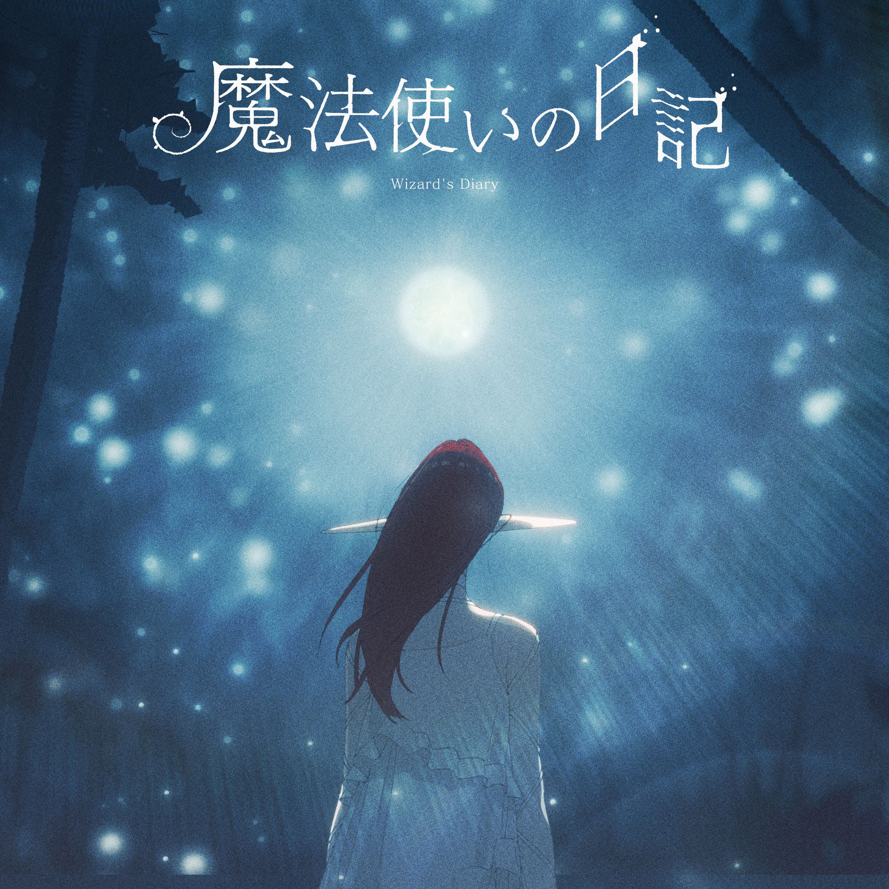 Wizard's Diary